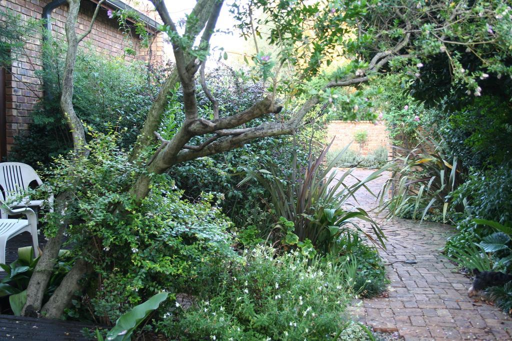 Aero Lodge Guest House Middelburg  Exterior photo